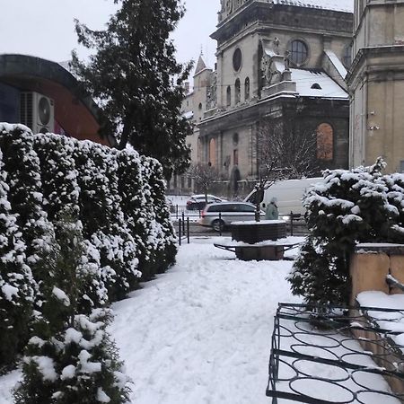 Двокімнатна Квартира В Центрі Міста Lviv Dış mekan fotoğraf